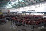 Filling Condiment Seasoning Packaging Equipment Packing Machine