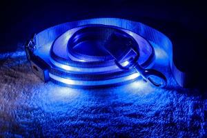 Wholesale 4Ft &amp; 6 Ft &amp;Water Resistant LED Dog Leash - USB Rechargeable Flashing Light from china suppliers
