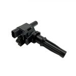 ignition coils Engine ignition system accessory Manufacturer Ignition coil 27301