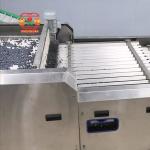 Stainless Steel Blueberry Sorting Machine 360 Degree Rotational Scanning