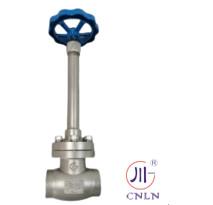 Wholesale DN10-100 Cryogenic Globe Valves For LNG LOX LIN LAr CO2 Long Stem Manual Globe Valve PTFE Valve CF8 CF3 from china suppliers