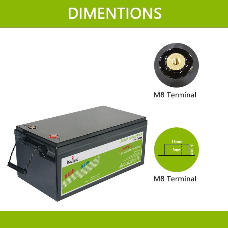 OEM 300ah 12V LiFePO4 Battery Travel Caravan Battery Pack Wireless Charging