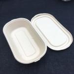 100% Biodegradable Sugarcane Salad Disposable Lunch Box With Transparent Lid