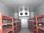 Ice Cream / Frozen Food Cold Storage Room With Swing Door , Copeland Scroll