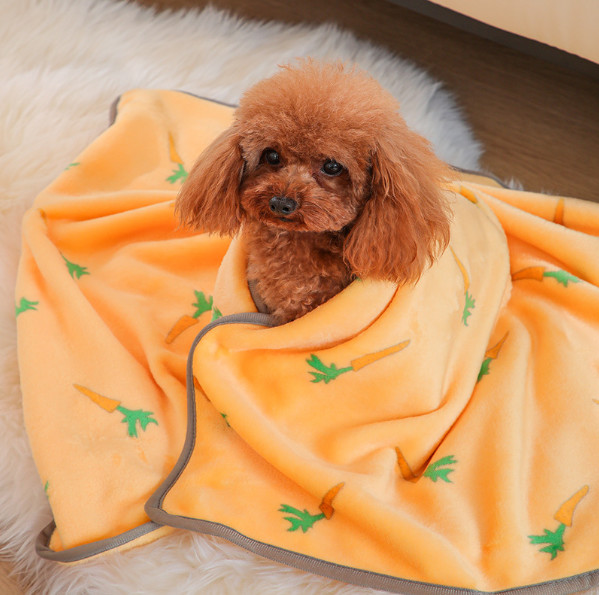 best blankets for cats