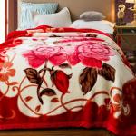 Thick Double Layer Raschel Velvet Fabric Blanket for Skin-friendly and Cozy Nap