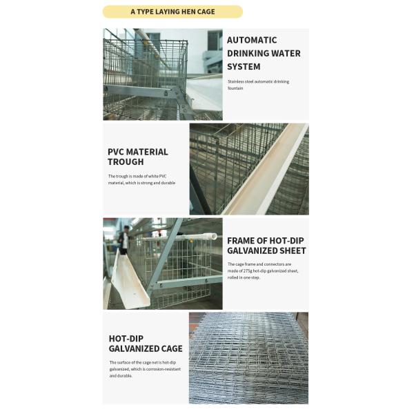 Economic Layer Duck Cage Battery Laying Meat Duck Breeding Cages for Egg Layer Ducks Farm