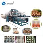 Paper Pulp Molding Machines Egg Tray Fruit Tray Disposable Tableware