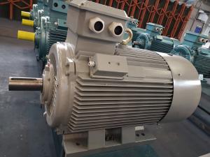 China IE5 Industrial AC Motors Asynchronous AC Electric Motor 30kw Three Phase on sale