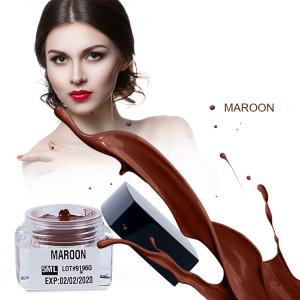 Wholesale 5ml / Bottle OEM Microblading Pigment Ink For Change Blue / Grey Eyebrow Coloring from china suppliers
