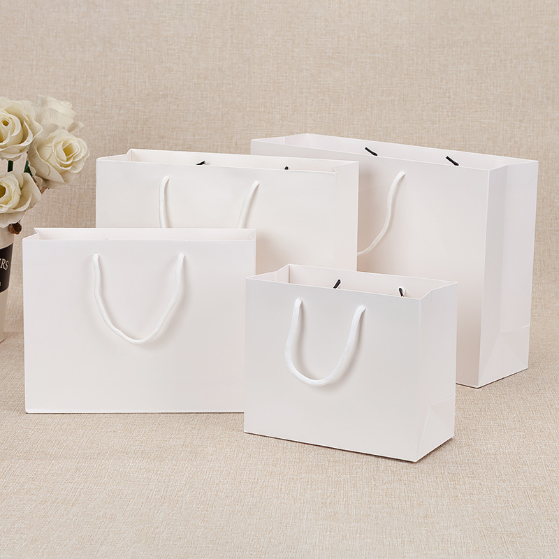 Custom Printed Size Eco Paper Gift Packaging Shopping Bag Suppliers for Shoes Clothing