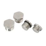 Forged Duplex Stainless Steel 2205 Hardware Uns31803 A182 F51 Hex Head Plug for