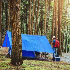 Wholesale PE Coated Tarpaulin Heavy Duty Waterproof Cover for Ground Protection and Camping Sheet from china suppliers
