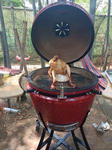Wholesale 22&quot; CERAMIC BBQ GRILL KAMADO/ Black, Red, Green/ Iron Cart/ Charcoal Kamado from china suppliers