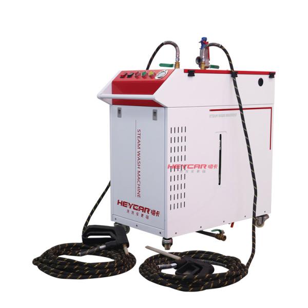 Powerful Steam Cleaner for Car Wash Mattresses Bedding and Sofas 220v 380v