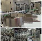 Energy Saving Shampoo Bottle Filling Machine Pneumatic Lifting 12 Months