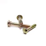 Round Head Elliptic Neck Rail Fish Bolt Railway Oval Neck Track Bolt