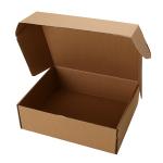 Kiwifruit packaging paper box plain corrugated boxes custom logo color printing