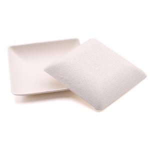 Wholesale Disposable biodegradable mini sugarcane squared shaped bagasse paper snack appetizer plate from china suppliers