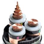 1.5mm-150mm XLPE Insulated PVC/PE Sheathed Power Cable for High/Low Voltage