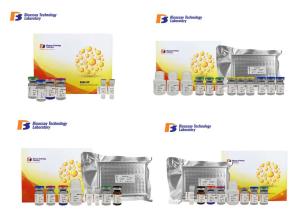 Wholesale 96 Wells Size Sandwich ELISA Kit / Mouse ELISA Kit GAL8 5.56ng/L Sensitivity from china suppliers