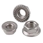 M3-M16 Stainless Steel Serrated Flange Nuts