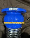 PN10 or PN16 cast iron flanged foot valve Supplier