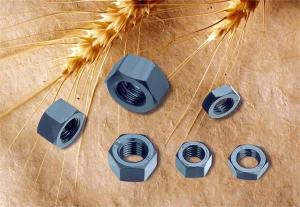 Wholesale 4.8/8.8/12.9 Grade Stainless Steel Hex Nuts Corrosion Resistant For Machanical Equipments from china suppliers