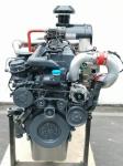 Biogas 100kw Natural Gas Generator Smartgen Generator Water Cooling System