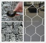 Hot-Dipped Zinc 2x1x1 Hexagonal Gabion Box for Garden Decoration and Retaining