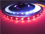 black polish led 2812 digital rgb programmable led tape