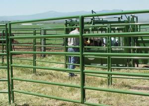 Wholesale portable pipe filled welded mesh Cattle Fence Gate from china suppliers