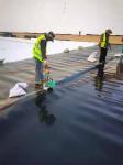 HDPE Geomembrane for Dam Landfill Aquaculture Fish Farm Pond Liner Waterproofing