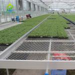 Commercial Greenhouse Indoor Flower Vegetable Wire Mesh Grow Table Seedbed