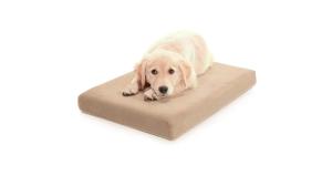 Wholesale 38in Large Memory Foam Dog Bed 8in Cooled Therapeutic Dog Bed from china suppliers
