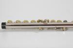 Student Flute Beginners Flute 16 Hole Concert School Flute 2 Year ... Profession