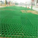 Black Green HDPE Plastic Grass Paver Grids for Parking Lot Eco-friendly Material