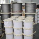 6x7 Galvanized Steel Wire Rope for Cold Heading Steel 4mm Steel Cable Ropes