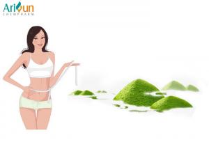 China Natural Fragrance Matcha Green Tea Powder Weight Loss A-AAAAA Grade For Cooking on sale