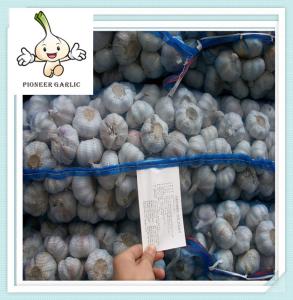 Wholesale Chinese fresh new white garlic China Fresh Normal/Pure Natural Garlic with factory price from china suppliers