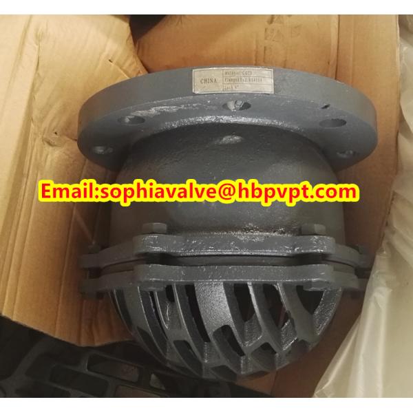 6 inch GG20 BS4504 flanged foot valve
