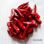 Air Dried Red Bullet Chilli In Dark Red Colour Single Herbs Spices