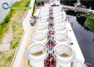 Wholesale 20m3 Glossy ART 310 Urban Sewage Treatment Project Create Beautiful River Ecological Environment from china suppliers