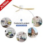 Modern Design 52 Inch 100%DC Motor Smart Home Ceiling Fan with Light from