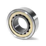 NF ECT Single Row Roller Bearing OEM Customized Electric Motor Bearing