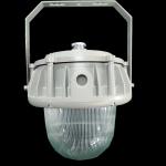 Meanwell Driver explosion proof lighting for Zone 2 Industrial Lighting