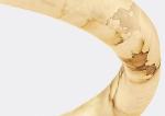 Modern Luxury Alabaster L1P Chandelier Brass Pendant Hanging Light Dining Room