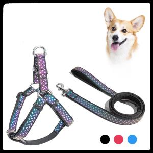 Wholesale Dog Leash Pet Dog Collars Soft Neoprene Pets Accessories Reflective Exclusive Pet Rope Harness Leash Set from china suppliers