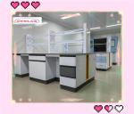 Full Steel Chemistry Lab Benches with Full Steel Construction and Ceramic Sink
