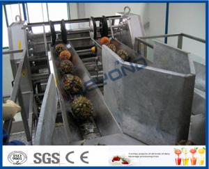 China High Efficient Pineapple Processing Line With Pineapple Cutting Machine on sale